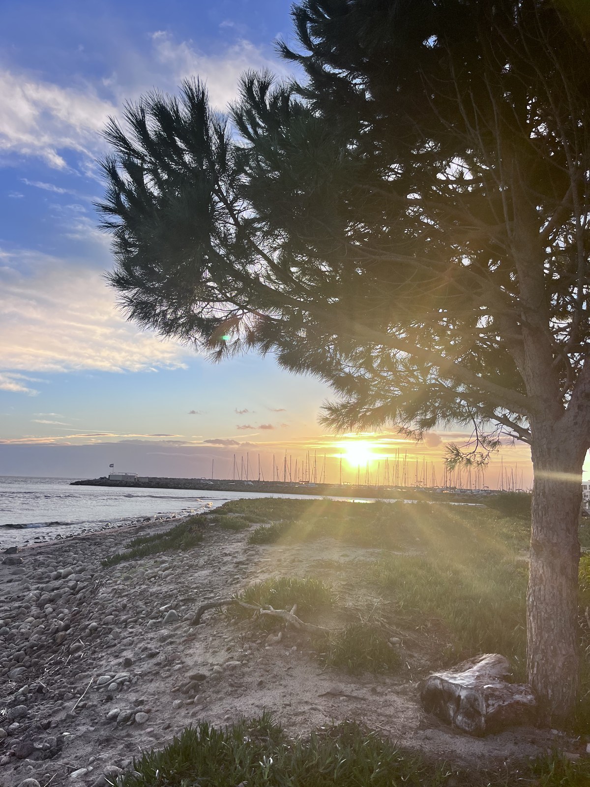 Sonnenuntergang am Hafen von Korsika